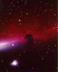 Horsehead Nebula